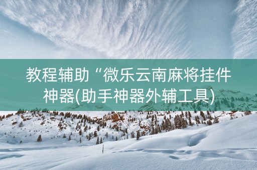 教程辅助“微乐云南麻将挂件神器(助手神器外辅工具)