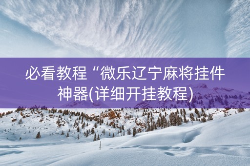 必看教程“微乐辽宁麻将挂件神器(详细开挂教程)