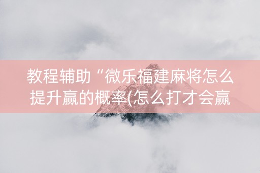 教程辅助“微乐福建麻将怎么提升赢的概率(怎么打才会赢)