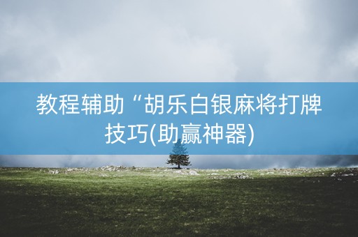 教程辅助“胡乐白银麻将打牌技巧(助赢神器)