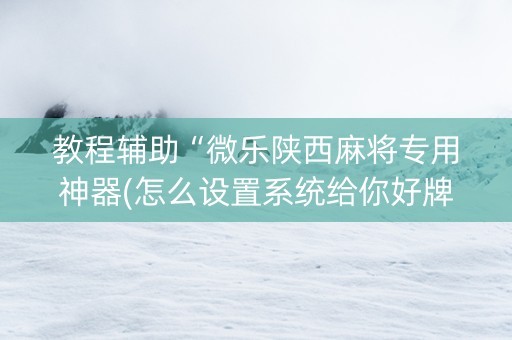 教程辅助“微乐陕西麻将专用神器(怎么设置系统给你好牌)