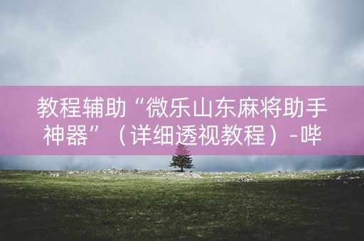 教程辅助“微乐山东麻将助手神器”（详细透视教程）-哔哩哔哩