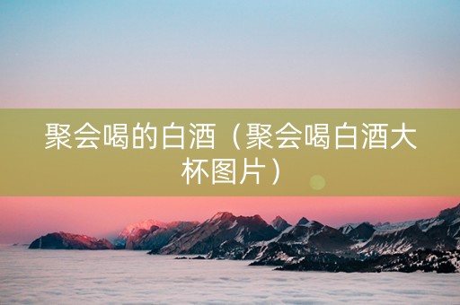 聚会喝的白酒(聚会喝白酒大杯图片) 聚会喝的白酒(聚会喝白酒大杯图片)