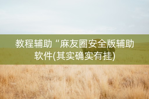 教程辅助“麻友圈安全版辅助软件(其实确实有挂)