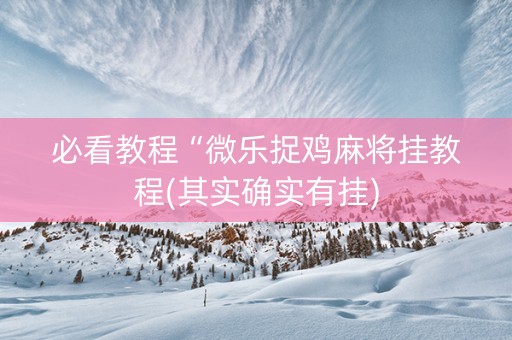 必看教程“微乐捉鸡麻将挂教程(其实确实有挂)