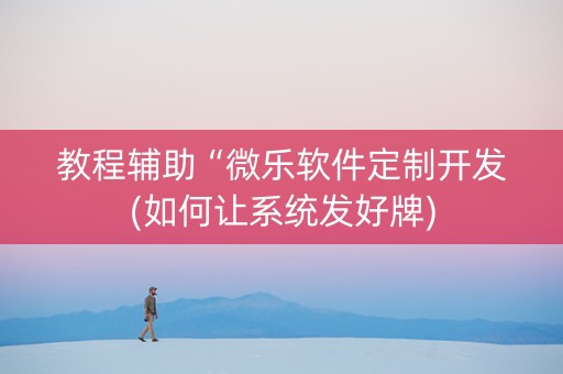 教程辅助“微乐软件定制开发(如何让系统发好牌)