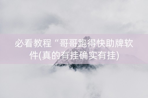 必看教程“哥哥跑得快助牌软件(真的有挂确实有挂)