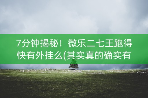7分钟揭秘！微乐二七王跑得快有外挂么(其实真的确实有挂)