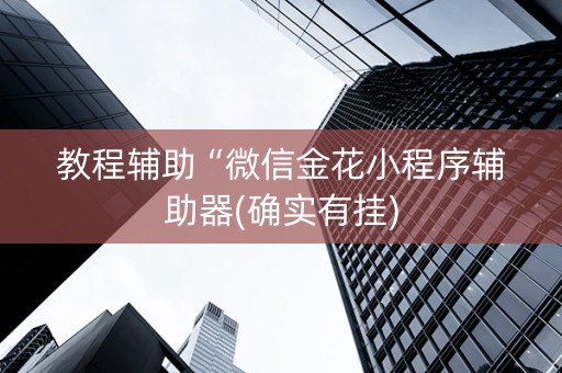 教程辅助“微信金花小程序辅助器(确实有挂)