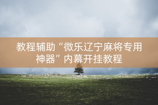 教程辅助“微乐辽宁麻将专用神器”内幕开挂教程