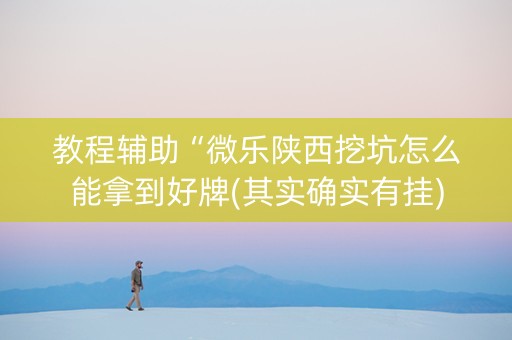 教程辅助“微乐陕西挖坑怎么能拿到好牌(其实确实有挂)
