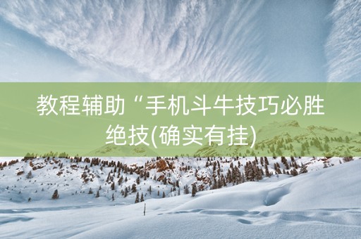 教程辅助“手机斗牛技巧必胜绝技(确实有挂)