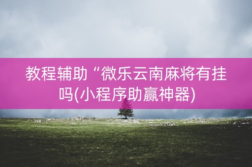 教程辅助“微乐云南麻将有挂吗(小程序助赢神器)