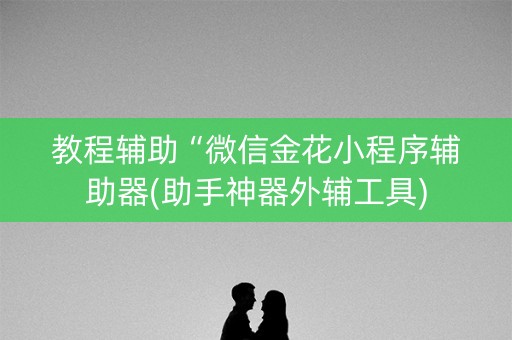 教程辅助“微信金花小程序辅助器(助手神器外辅工具)