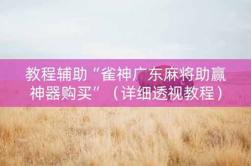 教程辅助“雀神广东麻将助赢神器购买”（详细透视教程）-哔哩哔哩