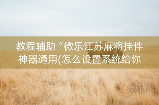 教程辅助“微乐江苏麻将挂件神器通用(怎么设置系统给你好牌)