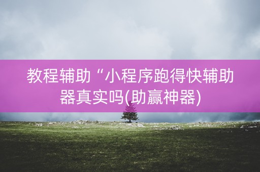 教程辅助“小程序跑得快辅助器真实吗(助赢神器)