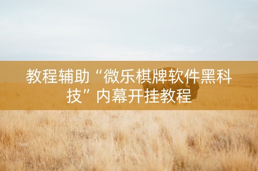 教程辅助“微乐棋牌软件黑科技”内幕开挂教程