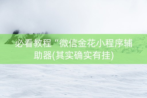 必看教程“微信金花小程序辅助器(其实确实有挂)