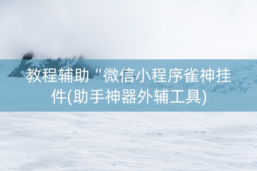 教程辅助“微信小程序雀神挂件(助手神器外辅工具) 教程辅助“微信小程序雀神挂件(助手神器外辅工具)