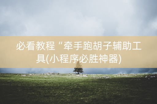 必看教程“牵手跑胡子辅助工具(小程序必胜神器)