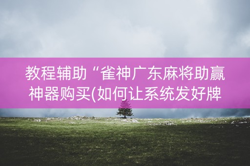 教程辅助“雀神广东麻将助赢神器购买(如何让系统发好牌)