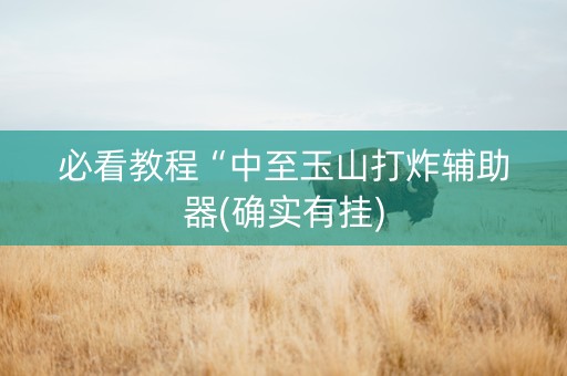 必看教程“中至玉山打炸辅助器(确实有挂)
