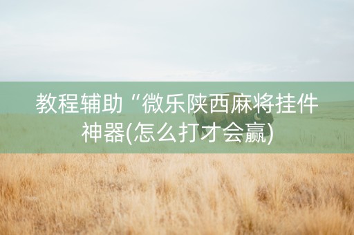 教程辅助“微乐陕西麻将挂件神器(怎么打才会赢)