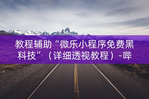 教程辅助“微乐小程序免费黑科技”（详细透视教程）-哔哩哔哩