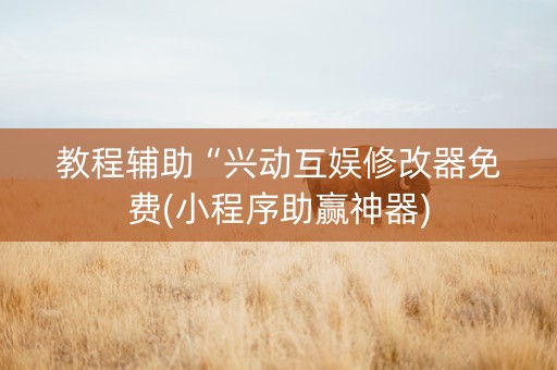 教程辅助“兴动互娱修改器免费(小程序助赢神器)