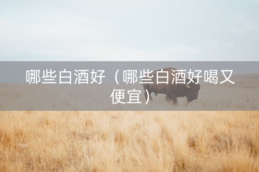 哪些白酒好（哪些白酒好喝又便宜）