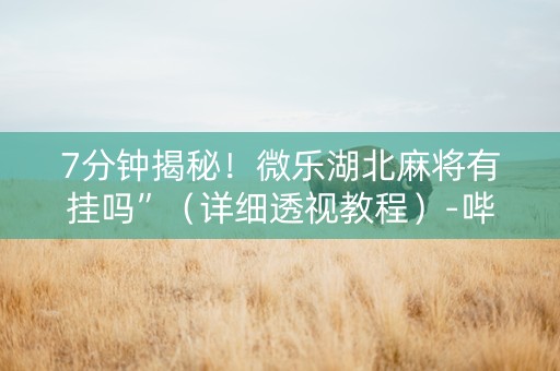 7分钟揭秘！微乐湖北麻将有挂吗”（详细透视教程）-哔哩哔哩