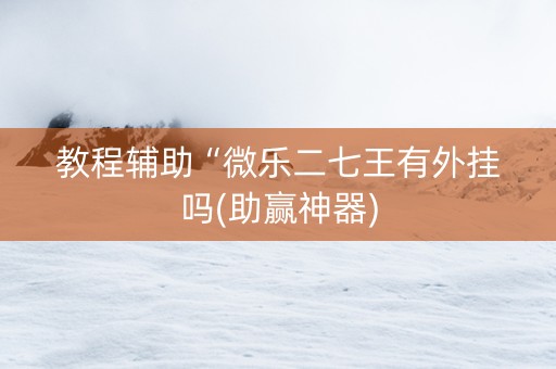 教程辅助“微乐二七王有外挂吗(助赢神器)