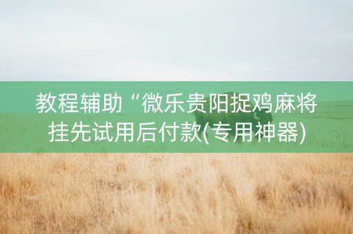 教程辅助“微乐贵阳捉鸡麻将挂先试用后付款(专用神器)