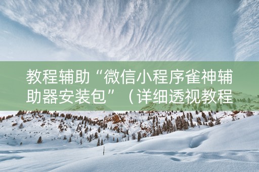教程辅助“微信小程序雀神辅助器安装包”（详细透视教程）-哔哩哔哩