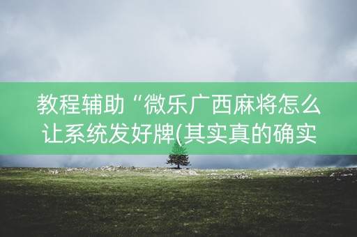 教程辅助“微乐广西麻将怎么让系统发好牌(其实真的确实有挂)