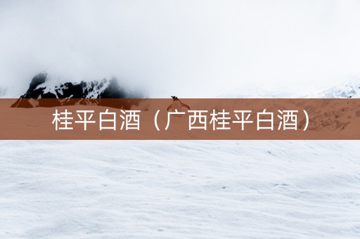 桂平白酒（广西桂平白酒）