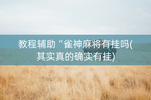 教程辅助“雀神麻将有挂吗(其实真的确实有挂)