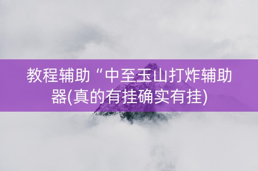 教程辅助“中至玉山打炸辅助器(真的有挂确实有挂)