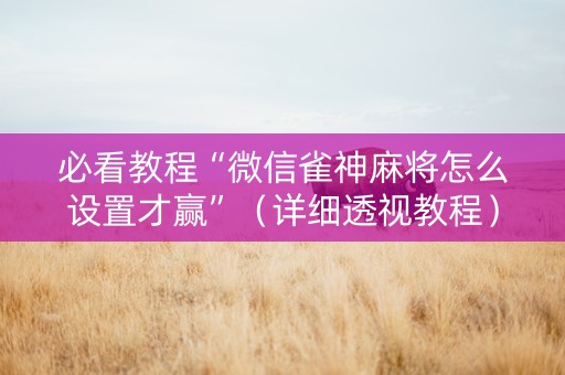 必看教程“微信雀神麻将怎么设置才赢”（详细透视教程）-哔哩哔哩