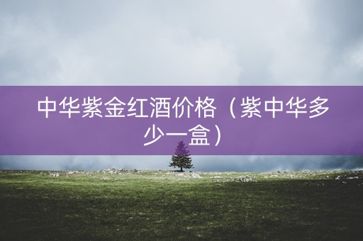 中华紫金红酒价格（紫中华多少一盒）