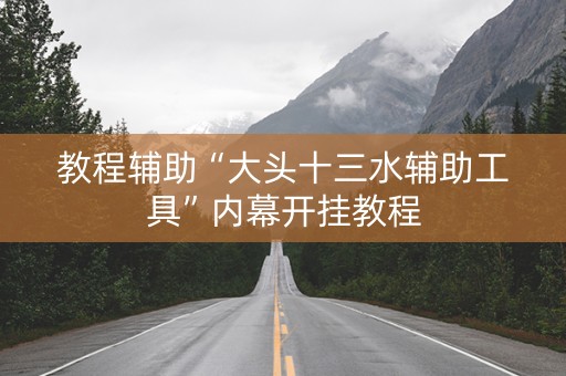 教程辅助“大头十三水辅助工具”内幕开挂教程