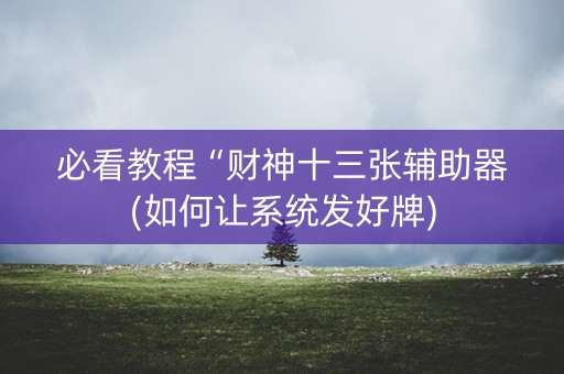 必看教程“财神十三张辅助器(如何让系统发好牌)