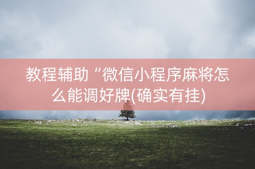 教程辅助“微信小程序麻将怎么能调好牌(确实有挂)