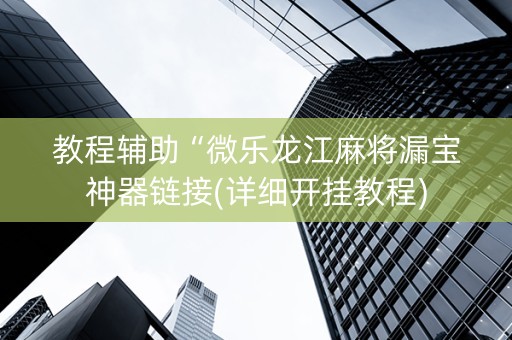 教程辅助“微乐龙江麻将漏宝神器链接(详细开挂教程)