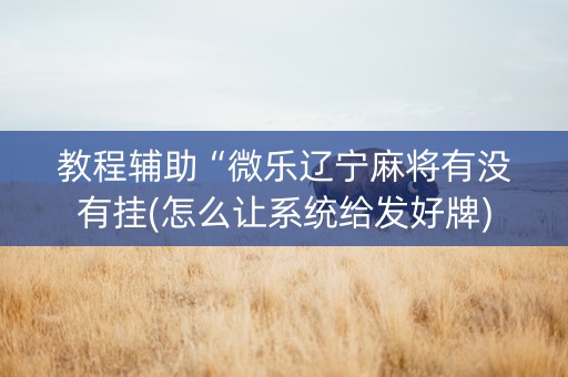 教程辅助“微乐辽宁麻将有没有挂(怎么让系统给发好牌)