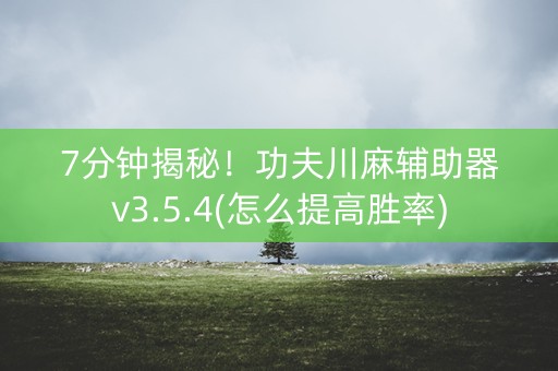 7分钟揭秘！功夫川麻辅助器v3.5.4(怎么提高胜率)