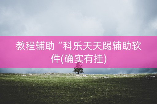 教程辅助“科乐天天踢辅助软件(确实有挂)