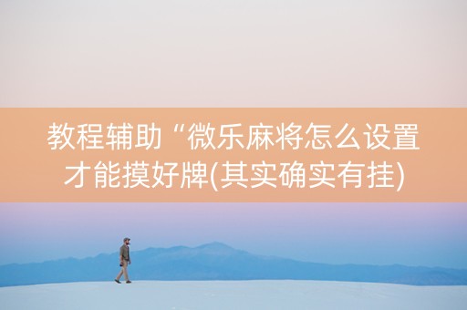 教程辅助“微乐麻将怎么设置才能摸好牌(其实确实有挂)