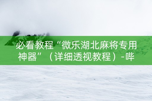 必看教程“微乐湖北麻将专用神器”（详细透视教程）-哔哩哔哩